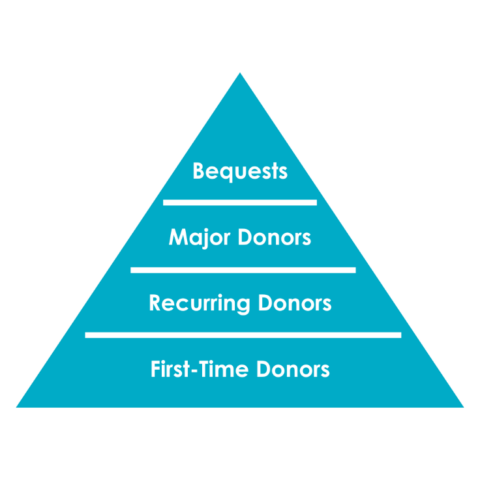 Donor Pyramid