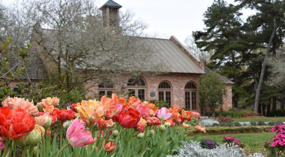 Colorful tulips blooming in front of a charming brick house with lush greenery and trees in the background at Burden Museum and Gardens, a Carter partner.